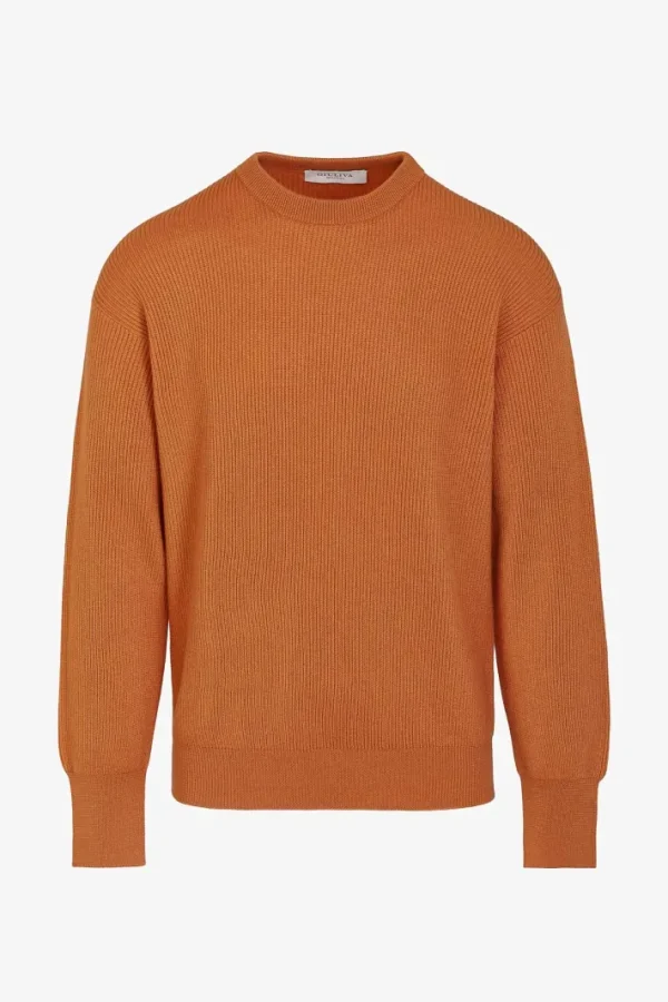 Giuliva Heritage Luciano Unisex Sweater in Cashmere<Women Knitwear | Knitwear