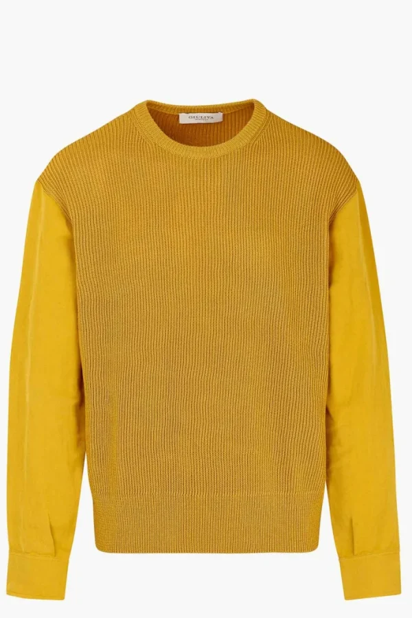 Giuliva Heritage Lucio Sweater in Knit and Fabric< Knitwear